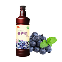 [딱좋아] 광야 블루베리 베이스 970mlX2 광야 Ddak881245ea, 상품선택 1, 상품선택 1