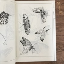나비 민화 드로잉 밑그림 화접도 한국화그리기