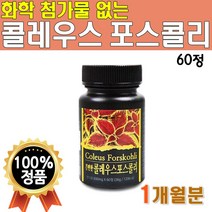 식약처 수입신고확인증 콜레우스 포스콜리 추출물 분말 가루 60정x1통 1개월분 화학 첨가물 없는 씹어먹는 츄어블 콜레우스포스콜리정 타블렛 코레우스 콜리우스 폴레 우스 포스콜린