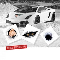 기스 흠집 실사같은 3D 차량용 스티커 래핑 튜닝용품, 1개, 고양이눈