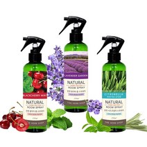 홈닥터 차량용탈취제 악취제거제 룸스프레이250ml 5종 - 2022975EA, 쿠팡 리프레싱레몬