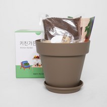 셰프의 키친가든 허브 키우기 다크그레이 색상, 바질 키우기