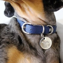 아미펫 자체제작 사피아노 가죽 강아지 고양이 목줄 이름표 무료각인, 네이비