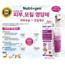 보습 모질 개선 콜라겐 단모종 영양제 닥스훈트 허스키 불독