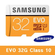 삼성전자 기어 360 SM-R210NZWAKOO 외장메모리카드 32G EVO, 32GB