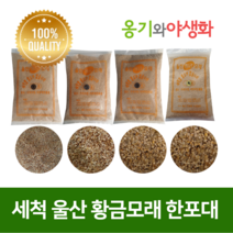 옹기와야생화 세척 울산 황금모래 2호 자연의색 다육파종