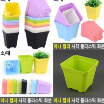 플라스틱화분 대 그린 테라스화분 텃밭화분 대형화분 베란다정원 상자텃밭 베란다상추키우기 옥상텃밭 프리지아화분 상추화분 미니텃밭 베란다화분 귀여운화분 미니토분 소형화분 이쁜화분 나무화분 베란다텃밭 텃밭상자 인테리어화분 빈화분 실내텃밭 블루베리화분 작은화분 분재화분 후리지아