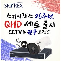 스카이렉스 QHD 초고화질 하이브리드 매장&가정용CCTV 케이블20M 풀세트 실내외겸용, 보급형 실외1개(전용 케이블 20M+아답터)