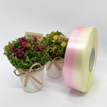 포장 리본 끈 제이제이리본 이색주자 15mm 25mm 40mm 28컬러 ( 길이 45M ) 공단리본, TS02