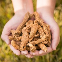 봉래 국산 볶은둥굴레(특품) 200g/한방/건강/약초/약재 식품 > 건강식품 전통건강식품 기타전통건강식품/한방재료, 200g, 1, 200g” class=”wr-img”></a></div></div></div></div><div class=