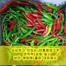 야과몰 싱싱 반홍 청양고추 (10kg), 1개