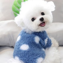 모모도퀸 뽀글이 도트무늬 강아지옷 올인원, 블루
