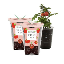 틔움세상 컵가든 방울토마토 키우기, 8개입