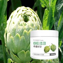 아티초크 분말가루 250g 프랑스산 엉겅퀴과 채소 시나린 생기충전 요거트 샐러드토핑재료