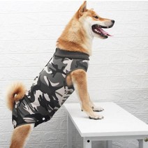 강아지 수술복 환견복 중성화후 보호 그루밍방지 A01, 카모