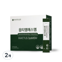 라플레 옵티 엠에스엠 60p 2개 120g, 4개