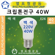 10개입 별표 크립톤전구 백열등 백열램프 백색 40W, 전구색[노란빛], 크립톤40W(불투명)E26[10개]