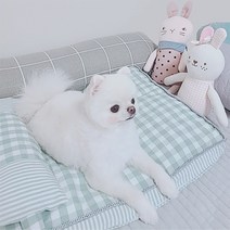 로마팸 강아지 매트 고양이 쿠션 방석 체크 침대, 체크매트 레드
