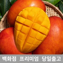애플망고 1.5kg 애플망고 쥬스 대용량 과일 열대 망고 429928EA, 1, 본상품선택