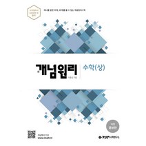 개념원리 고등 수학(상) : 하나를 알면 10개 20개를 풀 수 있는 개념원리수학 개정증보판, 수학영역