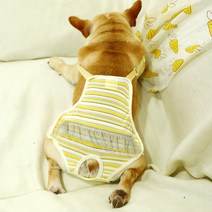 애견 공주 강아지 원피스 옷 PETCIRCLE개 옷 줄무늬 학 바지 프랑스 코기 퍼그 개 중소 애완 동물 강아지 의류애완 7eEA4, 01 Yellow, L