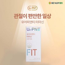 관절연골 건강 강황추출물 녹십자 웰빙 유어피엔티 터마신 정, UR.PNT 터마신, 1병 0.5개월