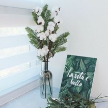 1300K 이너스 조화 목화 가지 3P, 단품