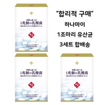 하나마이유산균 3세트 3개월분 합배송 프로바이오틱스유산균 1조 하루1포 관부가세포함