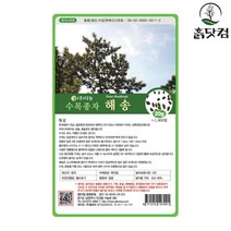 해송 씨앗 20g 소나무씨앗 수목 조경 상록침엽교목 + 네임택, 단품