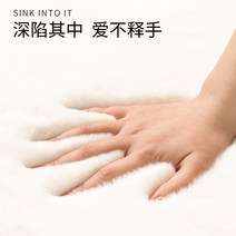 카페트 가정용 모던 심플 거실 테이블 토끼털