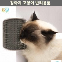 프렌치불독 파피용 장모묘 셀프그루밍 털관리 그루머 강아지브러쉬 애완견빗 털엉킴