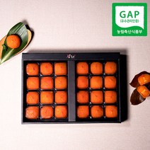 감좋은날 청도 반건시 곶감 선물세트(+선물가방포함), 2박스, 3850(35과/특대과)감말랭이 100g X 2개