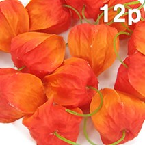 인조 조화 꽈리열매 모형 (대) 4cm 12개 세트 야채 채소 과일모형 모조 인테리어