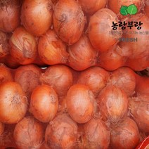농랑부랑 국산 무안양파 12kg 중 1망