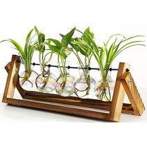 XXXFLOWER 나무 스탠드가 있는 식물 테라리움 벽걸이 유리 화분 테이블 탑 번식 스테이션 금속 회전 홀더 레트로 랙 수경법 가정 정원 사무실 장식용 전구 꽃병 5개, Large1