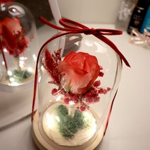 완제품 LED 부케 유리돔 무드등 장미 꽃 조명 집들이선물 비누꽃 프리저브드 감성소품, 01장미, 01스웨이드끈(보라:리본끈), 01레드