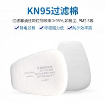 방독면 마스크 방연 방진 안전 6800 도장 가스 연기, 면여과10매
