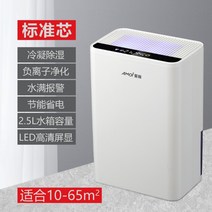 공기청정 스마트 가정용 실내 제습기 자취 침실, 베이직 스탠다드 코어 화이트