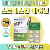 직장 스트래스 엘테아닌 릴렉스 캐모마일 홍경천 6통 식약처인정 긴장 완화 스트레스 판토텐산 아연 에 도움되는 영양제 진정 테아민 태아민 티아닌 대용량 공부원 시험 선물 성인
