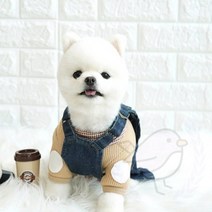 새임 카라 티셔츠 베이지 멍멍이옷 개봄옷 애완견봄옷, S