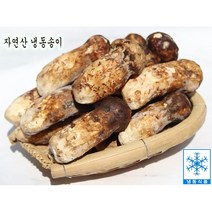 자연산 냉동송이 송이버섯 백두산송이버섯 햇송이 최고급 식자재 500g 명절선물, 1개, 2품 500g