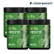 푸드버킷 유기농케일분말 케일분말 케일파우더 100gx4통, 단품, 4통, 100g