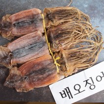 가락시장도매 배오징어 마른오징어, 5마리, 500g내외