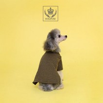애견의류 스트라이프 데일리 어드레스 애견티셔츠, 카키S