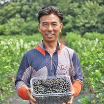 아로니아 꼭지제거 2023년 아로니아생과 냉동과 블랙쵸크베리, 1개, 2.5kg(특품)