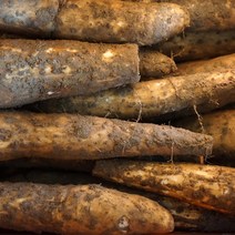 경남 진주 햇 마 5kg 장마 알뜰마 산마 참마, 4.장마 (중) 10kg