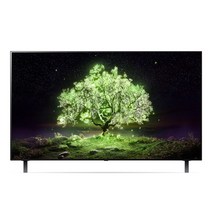 LG 올레드 TV OLED48A1ENA, 스탠드형