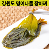 새콤달콤 강원도 홍천 명의 짱아찌 짱아치 국산 가정식 절임 반찬 김치 산마늘 간장 짱아지 장아찌 명이나물 공장직송 500g 1kg, 강원도 명이나물 장아찌 500g