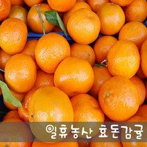 새콤달콤 고당도 효돈감귤 비가림 5kg - 당일선별발송, 5kg 중간귤(S,M,L)