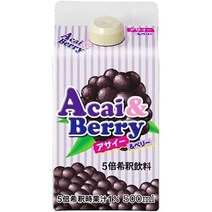 일본직구 5배 희석용 아사이앤베리(500ml), 수량, 상세참조